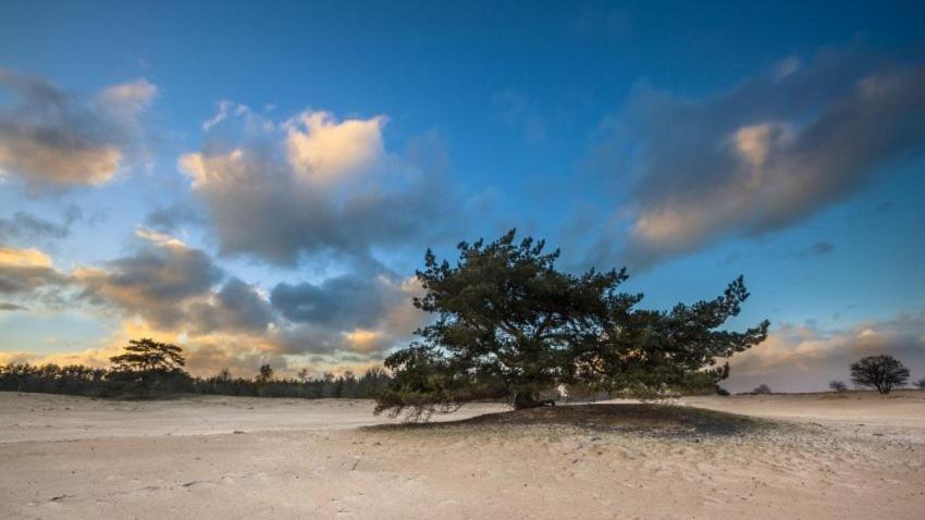 Vakantieverhuur Bienvenue Bojil Bagian luar foto