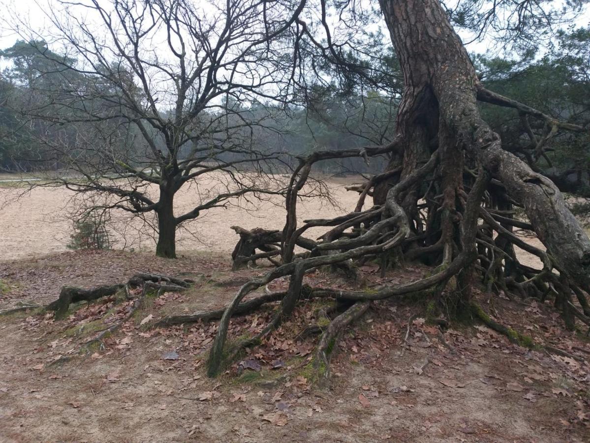 Vakantieverhuur Bienvenue Bojil Bagian luar foto